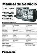 Panasonic TC29A9U OEM Service