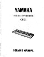 Yahama CS-01 OEM Service