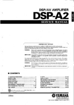 Yamaha DSP-A2 OEM Service